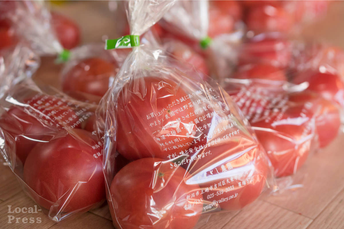上越市のトマト農家「やまぎし農園」